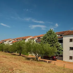 Apartman Hostin Garoful Duga Uvala, Pavicini
